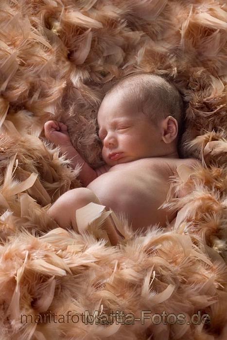Babyfotografie