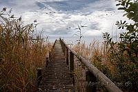 Chiemsee