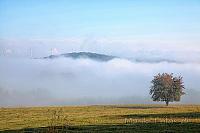 am Rursee