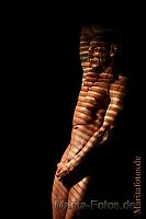Schatten